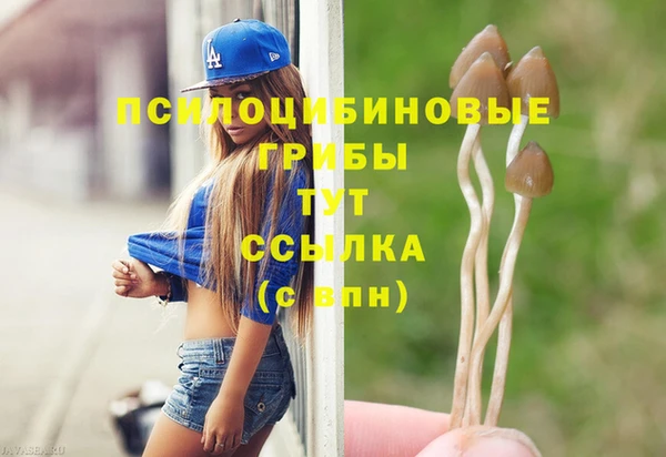 спиды Алексеевка